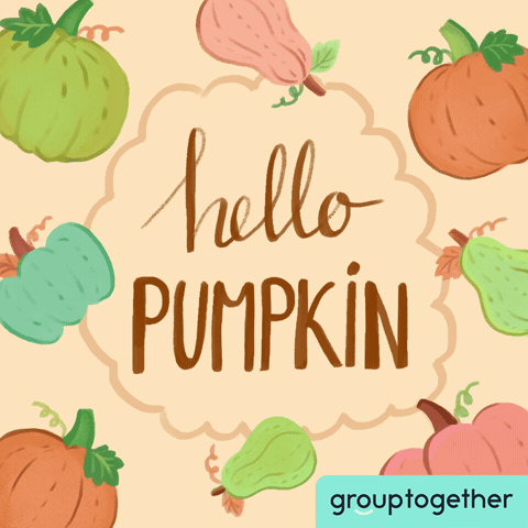 Sweater Weather Fall GIF by GroupTogether