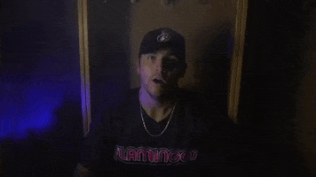 Florence Flamingos GIF