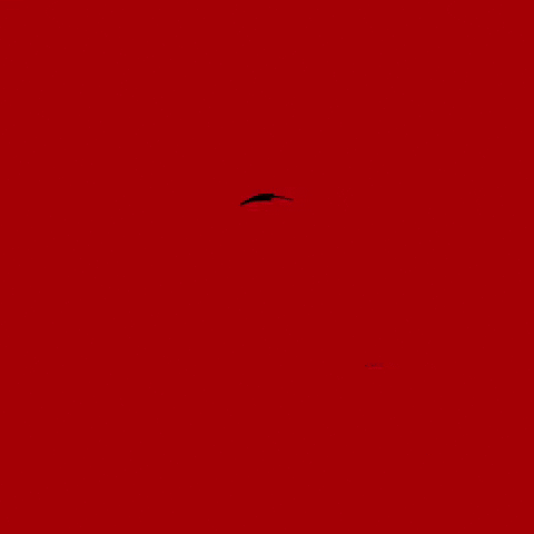 Shadinghand GIF