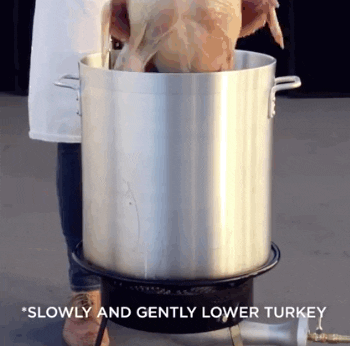Deep Fried Thanksgiving GIF by Mic