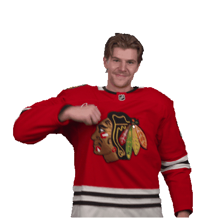 Logo Jersey Sticker by NHLBlackhawks
