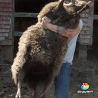 Carry Me Farm Life GIF by Animal Planet