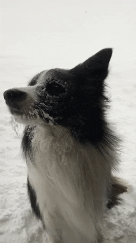 Girls Without Clothes GIF