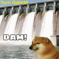 Dam GIF