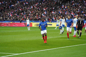 casse la dmarche GIF by Equipe de France de Football