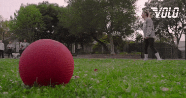 Lets Go Kick GIF by Volo Sports