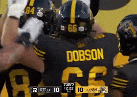 Tiger-Cats Cats GIF