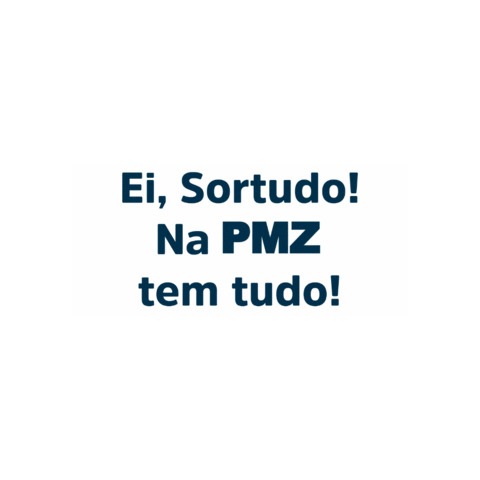 PMZ Peças e Pneus Sticker