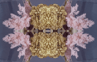 Art 3D GIF