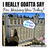 Missing U I Miss You GIF by Goatta Be Me Goats! Adventures of Pumpkin, Cookie and Java!
