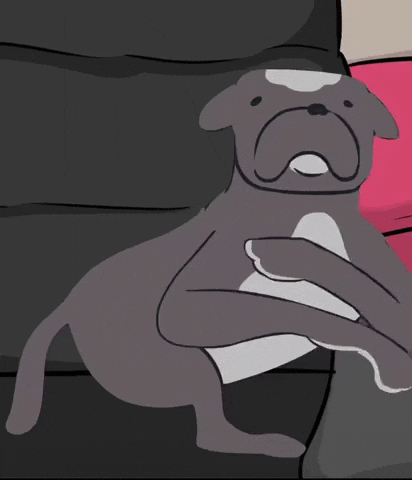 Dog Meme GIF