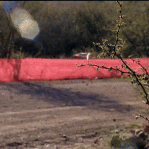 FIA World Rally Championship GIFs - Find & Share on GIPHY