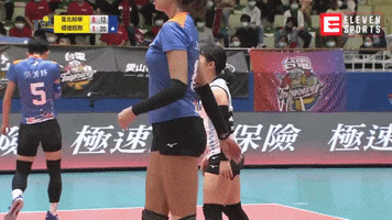 Volleyball GIF