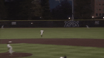 Web Gem GIF by Oregon State Baseball