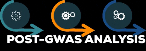 Post-Gwas Analysis GIF