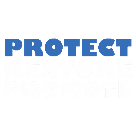 coosariverkeeper Sticker