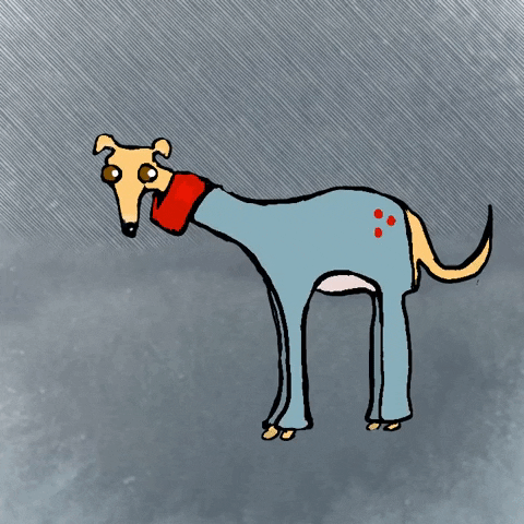 Shaking Italian Greyhound GIF by Kimmy Ramone