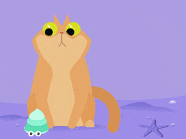 Shocked Cat GIF by Kate Hummer