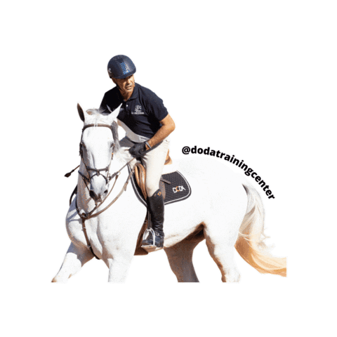 Doda Training Center Sticker