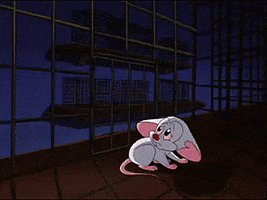 scared pinky and the brain GIF