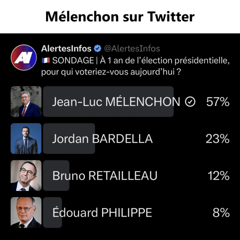 Mélenchon Hors Twitter GIF by Occidentis