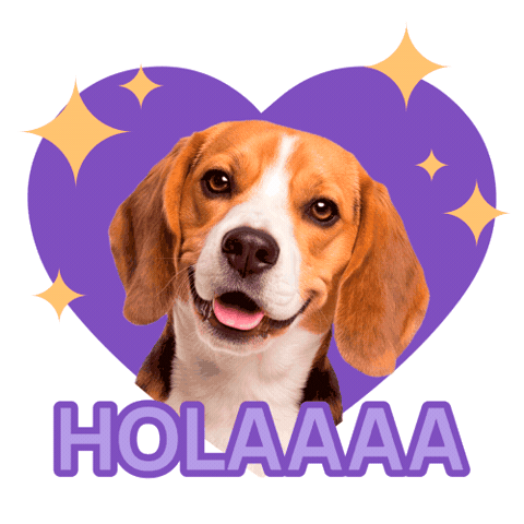 Beagle Hello Sticker by HICC Pet México