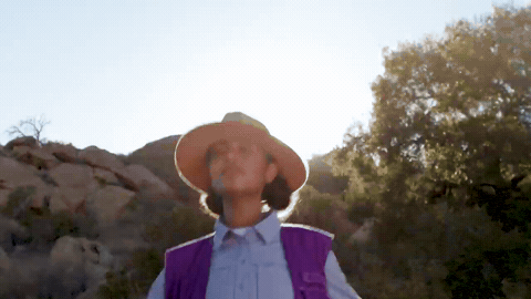 T-Rex Ranch GIFs on GIPHY - Be Animated