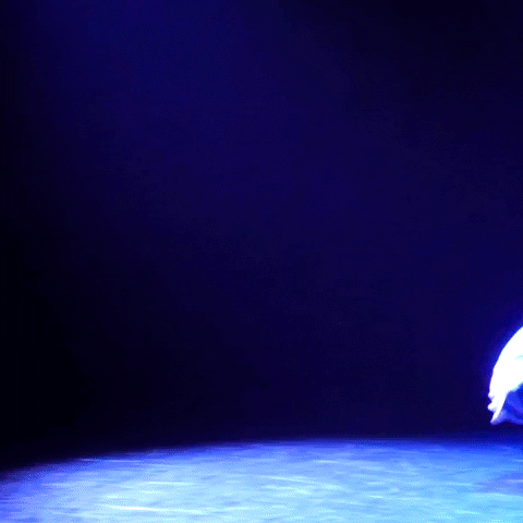 Spin Performance GIF by Chicago Dance Crash