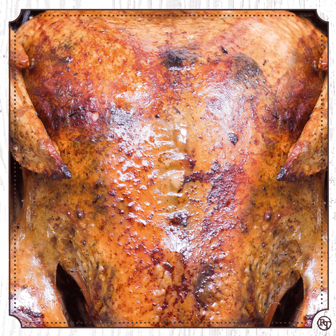 Thanksgiving Turkey GIF by Rufus Teague