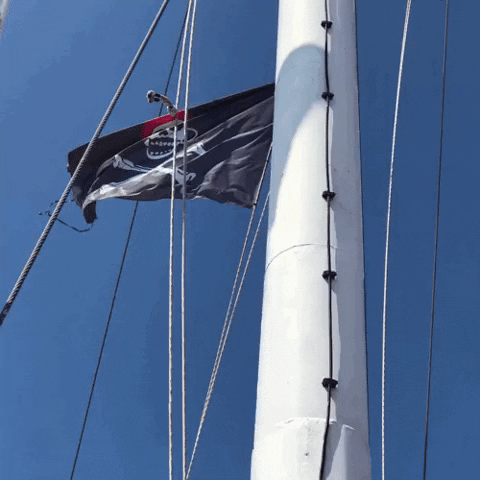 Black Flag GIF