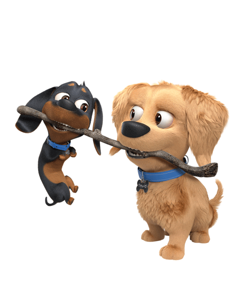 Davidygoliat Sticker by Champion Dog