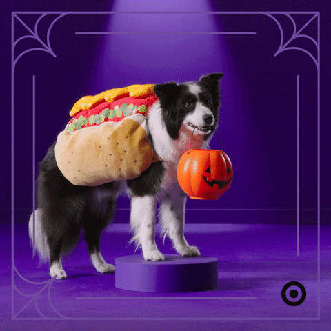 Ad gif. Ad for Target. Dog wearing a hot dog costume and holding a Halloween trick or treat basket in its mouth stands on a podium before trotting away.