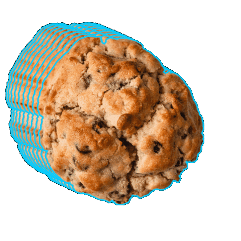 Lion Cub's Cookies Sticker