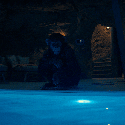 Horror Monkey GIF by Primate Movie