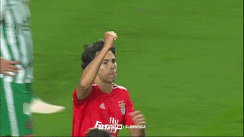 sl benfica celebration GIF by Sport Lisboa e Benfica