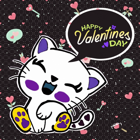 Various cat Valentine's Day GIFs, expressing different sentiments.