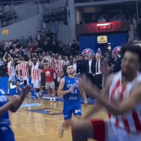 Crvena Zvezda Kkcz GIF