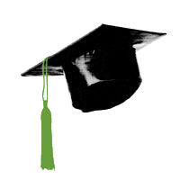 San Francisco Graduation Sticker by Outside Lands