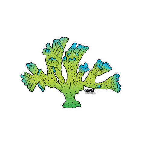 World Wide Corals Sticker