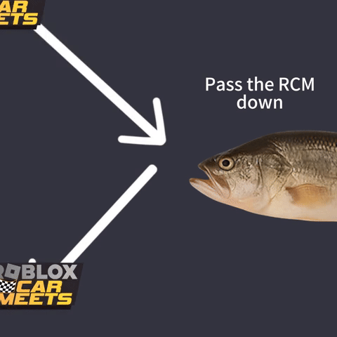 Rcm GIF