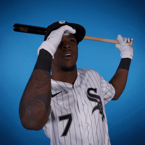 No Way Baseball GIF by Chicago White Sox