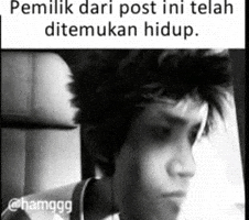 The Owner Meme Indo GIF