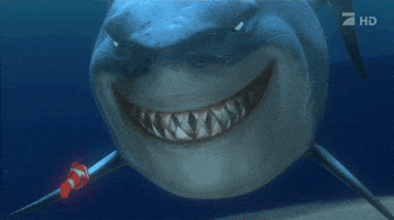 Finding Nemo Bruce GIFs - Get the best GIF on GIPHY
