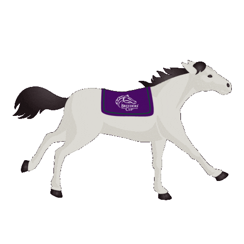 Horse Racing Sticker by Breeders' Cup World Championships