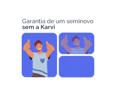 Garantia Certificado Sticker by Karvi