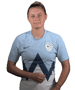 NZS | FA Slovenia Sticker