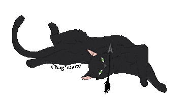 Animated Sticker