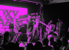 Excited Foxy Shazam GIF by wade.photo