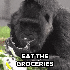Groceries Eat It GIF