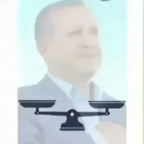 Tayyip Ak Parti GIF